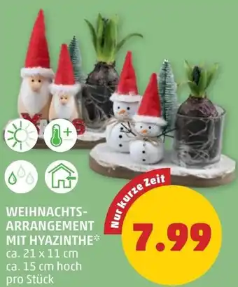 PENNY Weihnachts- arrangement mit hyazinthe Angebot