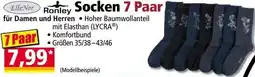 Norma Socken Angebot