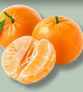 MPreis Bio-Clementinen Angebot