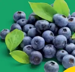 PENNY Heidelbeeren Angebot