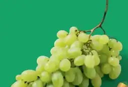 PENNY Trauben Angebot