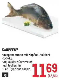 Metro Karpfen Angebot