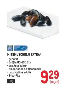 Metro Miesmuscheln extra Angebot