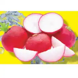 Lidl Snack Radieschen Lidl APP Preis Angebot