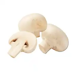 Lidl Champignons weiß Lidl Angebot