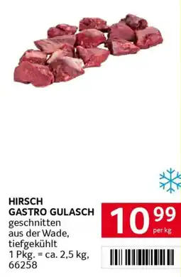 Transgourmet Hirsch gastro gulasch Angebot