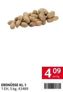 Transgourmet ERDNÜSSE Angebot