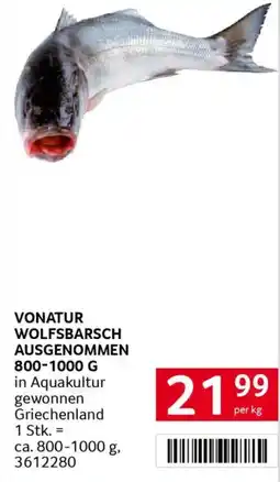 Transgourmet Vonatur wolfsbarsch ausgenommen Angebot