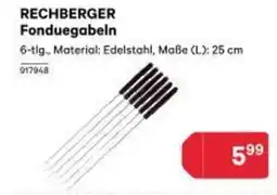 BayWa Rechberger fonduegabeln Angebot