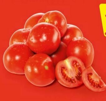 Hofer Tomaten Angebot