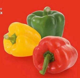 Hofer Paprika Mix Angebot