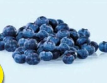 Hofer Heidelbeeren Angebot