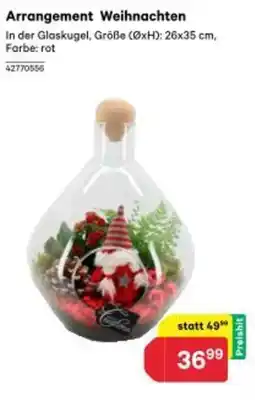 BayWa Arrangement weihnachten Angebot