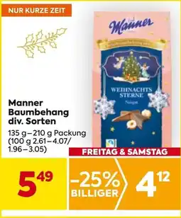 Billa Manner Weihnachtssterne Angebot