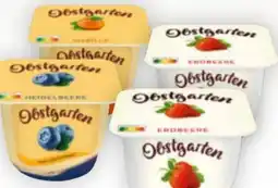 Billa Danone Obstgarten Angebot