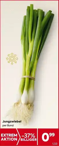 Billa Jungzwiebel Angebot