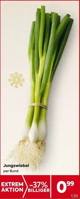 Billa Jungzwiebel Angebot