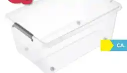 Möbelix Home Zone Box mit Deckel Mila Angebot