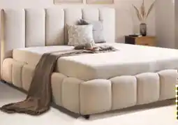 XXXLutz CarryHome Polsterbett Angebot