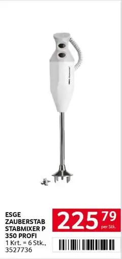 Transgourmet Esge zauberstab stabmixer p 350 profi Angebot