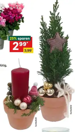 Lagerhaus Advent Arrangement Angebot