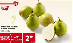 Billa Da komm' ich her! Birnen »>Xenia<< Angebot