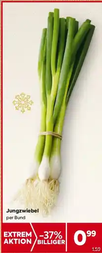 Billa Jungzwiebel Angebot