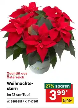 Lagerhaus Weihnachts stern Angebot