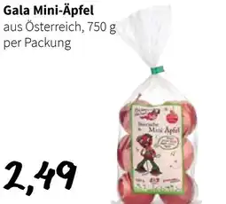 Der Grissemann Gala Mini-Äpfel aus Österreich, Angebot