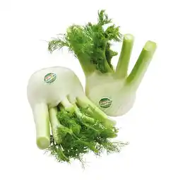 SPAR Gourmet Bio-Fenchel lose SPAR Gourmet Angebot