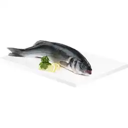 Metro Wolfsbarsch, Preisangabe ohne MwSt. (Preis inkl. MwSt. 13,74 €), METRO Angebot