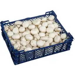 Metro Champignons weiß, Preisangabe ohne MwSt. (Preis inkl. MwSt. 3,95 €), METRO Angebot