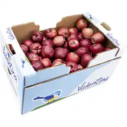 Metro Äpfel Red Delicious, Preisangabe ohne MwSt. (Preis inkl. MwSt. 1,86 €), METRO Angebot