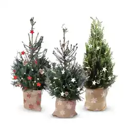 Hofer Geschmückter Weihnachtsbaum versch. Farben und Modelle HOFER Angebot