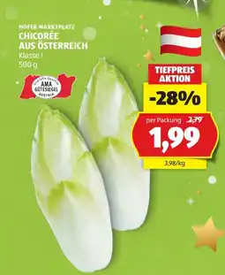 Hofer Chicoree aus österreich Angebot