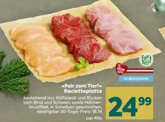 Billa Fair zum Tier! Racletteplatte Angebot