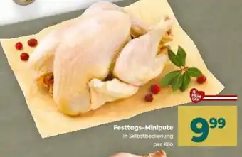 Billa Festtags-Minipute Angebot