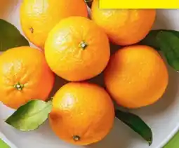 Hofer Hofer Marktplatz Blattclementinen Angebot