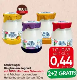 Spar Schärdinger Bergbauern Joghurt Angebot