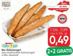 SPAR Gourmet Spar Natur pur Bio-Salzstangerl Angebot