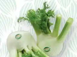 SPAR Gourmet Spar Natur pur Bio-Fenchel Angebot