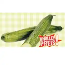 Maximarkt Gurke Maximarkt Angebot