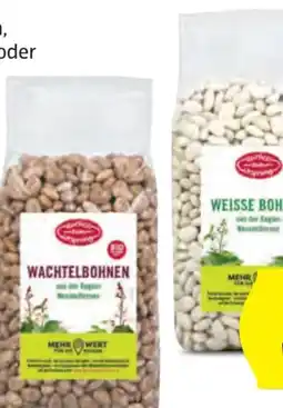 Hofer Zurück zum Ursprung Bio-Hülsenfrucht-Variationen Angebot