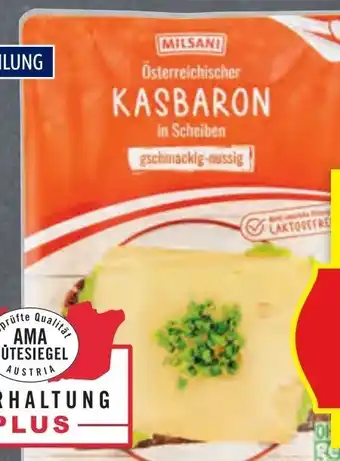 Hofer Milsani Kasbaron Angebot