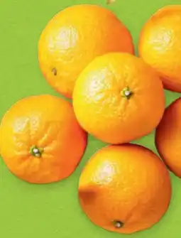 Hofer Hofer Marktplatz Bio-Clementinen Angebot