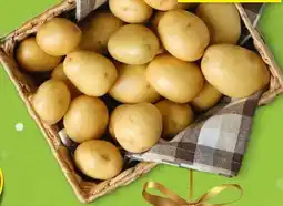 Hofer Hofer Marktplatz Kartoffeln Angebot