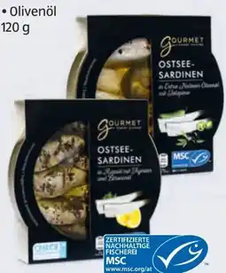 Hofer Gourmet Finest Cuisine Sardinen Angebot