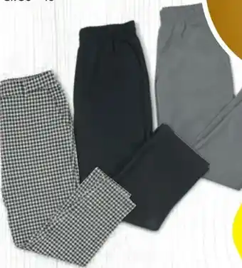 Hofer Up 2 Fashion Damen Hose Angebot