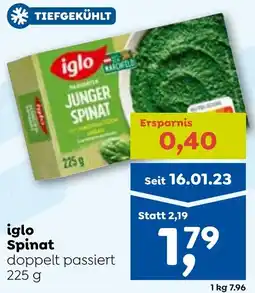 ADEG Iglo junger Angebot