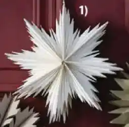 JYSK Weihnachtsstern SKRYMSLI Angebot